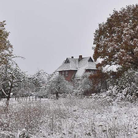 Ferienwohnung Ehemalige Revierfoersterei "Uns Luett" Kuhstorf Экстерьер фото