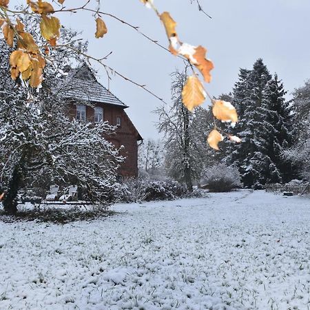 Ferienwohnung Ehemalige Revierfoersterei "Uns Luett" Kuhstorf Экстерьер фото