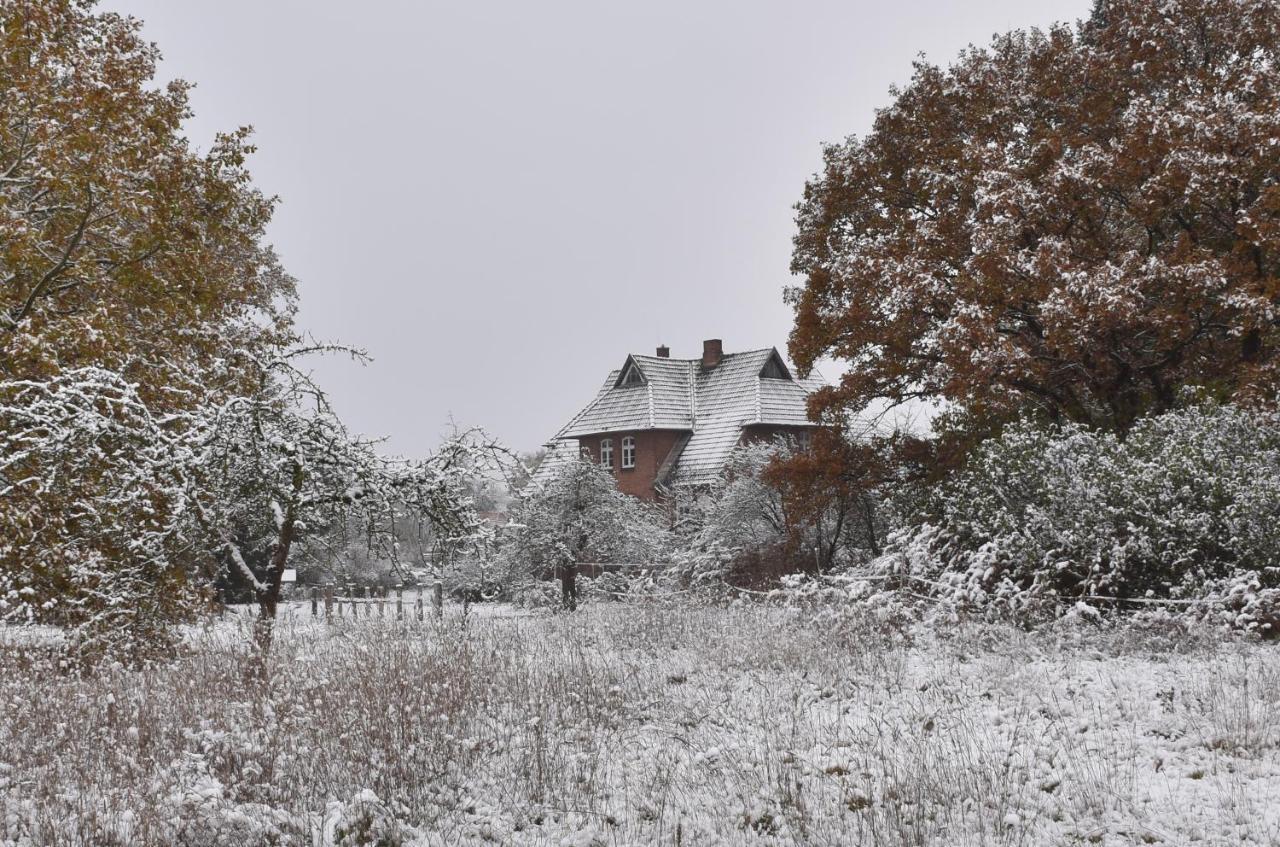 Ferienwohnung Ehemalige Revierfoersterei "Uns Luett" Kuhstorf Экстерьер фото